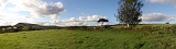Panorama 8